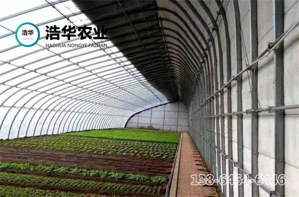 温室大棚的好处